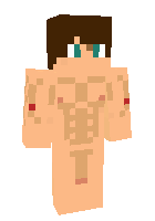Скин по нику alex_999