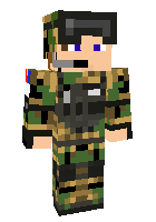 Скин по нику army91