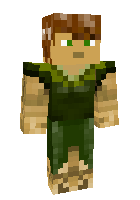 Скин по нику armyplay