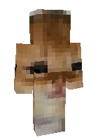 Скин по нику axelerate