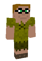 Скин по нику bNoid
