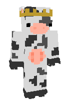 Скин по нику bearbearwingding