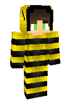 Скин по нику bee_games