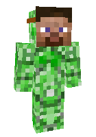 Скин по нику begas