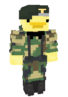 Скин по нику benacpvp