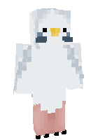 Скин по нику birbe