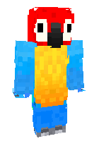 Скин по нику birdmediaa