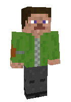 Скин по нику blockzerstoerer