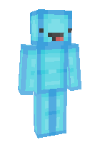 Скин по нику blox109