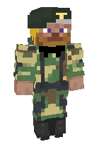 Скин по нику blyad