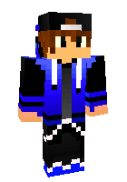 Скин по нику brofeelgamer