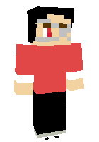 Скин по нику brycehunter