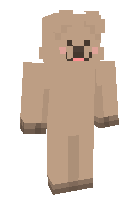 Скин по нику caandy
