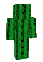 Скин по нику cactus