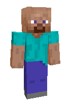 Скин по нику cactus_15