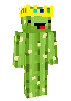 Скин по нику cactus_228