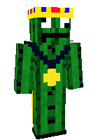 Скин по нику cactus_28