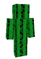 Скин по нику cactus_man
