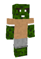 Скин по нику cactuss