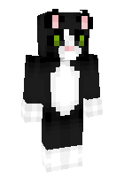 Скин по нику cat_7