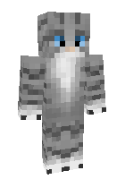 Скин по нику cat_pro