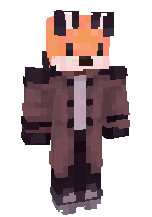Скин по нику cat_qap