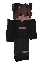 Скин по нику catboyayden
