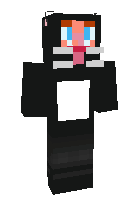 Скин по нику catgamer