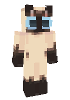 Скин по нику catt1