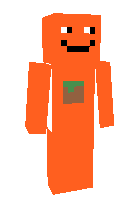 Скин по нику chicko