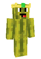 Скин по нику codysmile11