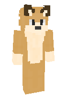 Скин по нику coyot