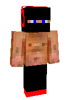 Скин по нику croots