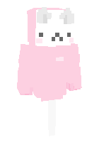 Скин по нику cute_cat1