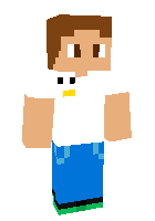 Скин по нику danilaboyplay