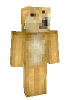 Скин по нику dankedoge