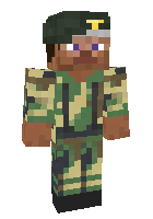 Скин по нику dankthestreamer