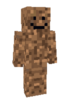 Скин по нику dirt