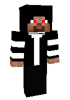 Скин по нику disguises