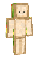 Скин по нику do_olliny