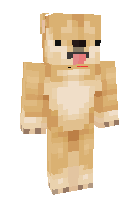 Скин по нику doge321