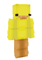 Скин по нику duck_1123