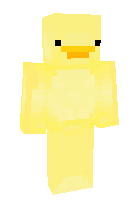 Скин по нику duckk__