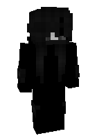 Скин по нику dulli1234