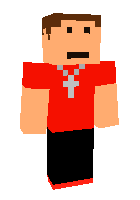 Скин по нику dylanator293