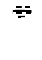 Скин по нику echowood