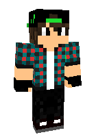 Скин по нику ehotik