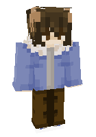 Скин по нику ender___