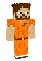 Скин по нику enderbro10