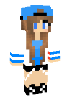 Скин по нику enderbro244